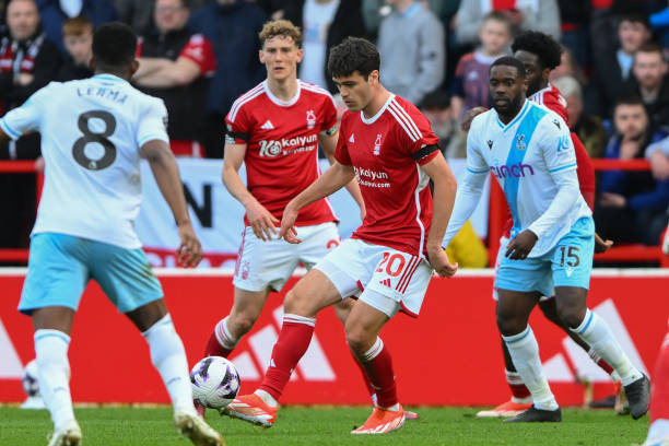 到了我国选 到了我国选