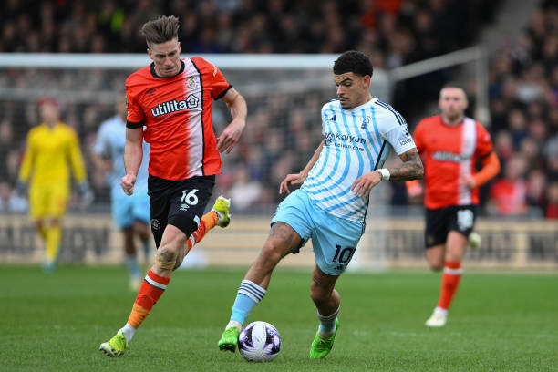 积极反馈 积极反馈