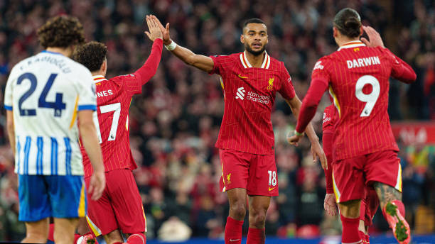 赛场内的观 赛场内的观